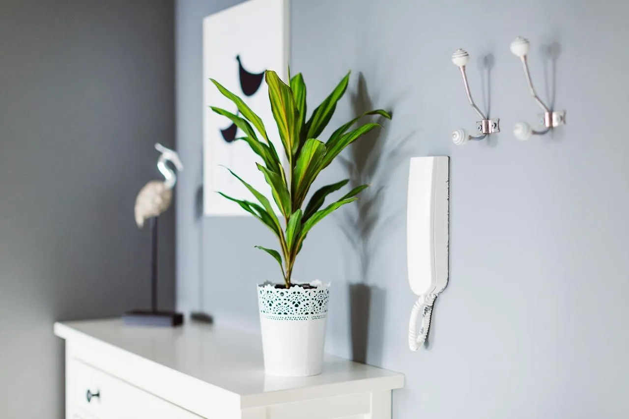 Apartmán Amistik Krakov