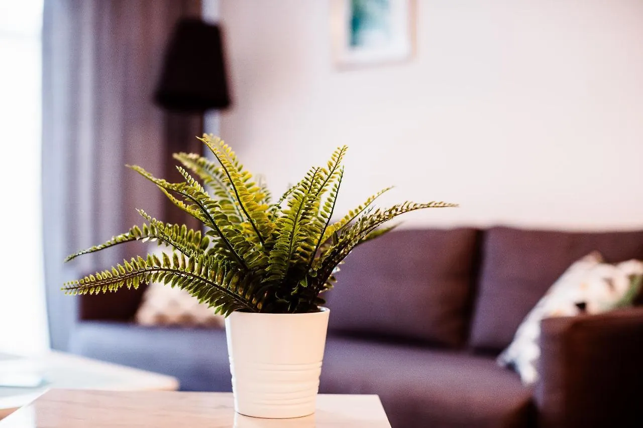 Apartmán Amistik Krakov